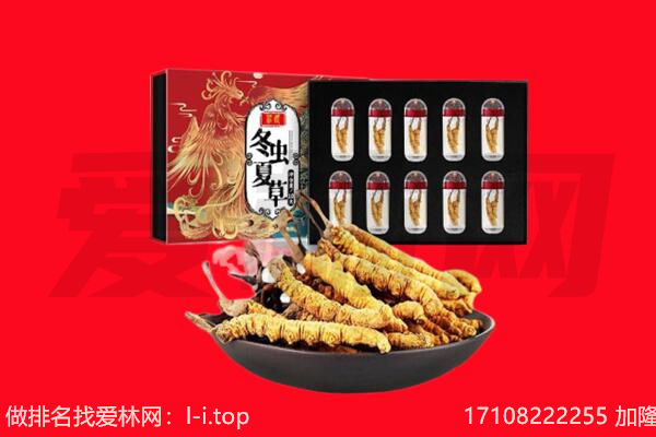 汕头市南澳回收虫草.jpg